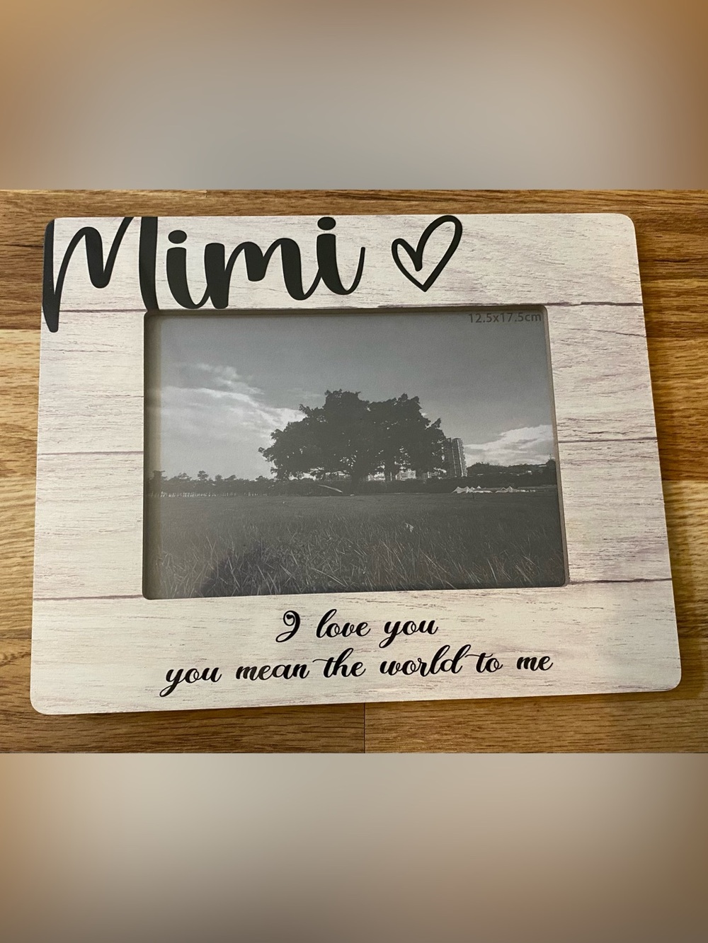 Orchroma Mimi Picture Frame Brown & Blue NWT